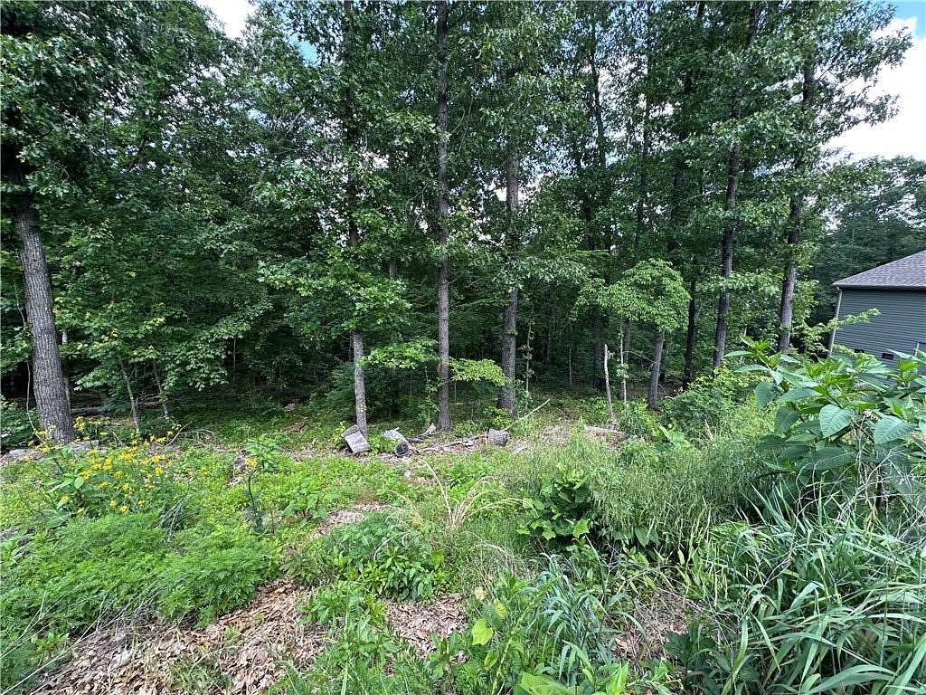 0.32 Acres of Land for Sale in Bella Vista, Arkansas