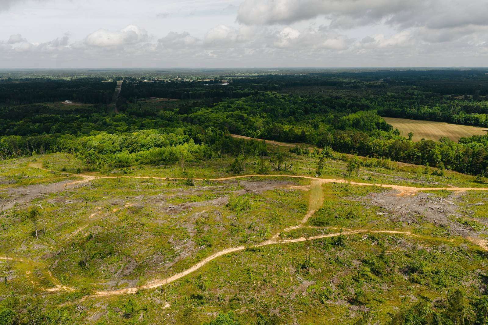 12.5 Acres of Recreational & Residential Land for Sale in Preston, Mississippi