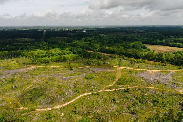 12.5 Acres of Recreational & Residential Land for Sale in Preston, Mississippi