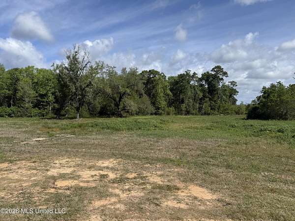 33.7 Acres of Mixed-Use Land for Sale in Long Beach, Mississippi