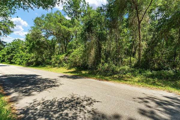 0.24 Acres of Residential Land for Sale in Dunnellon, Florida
