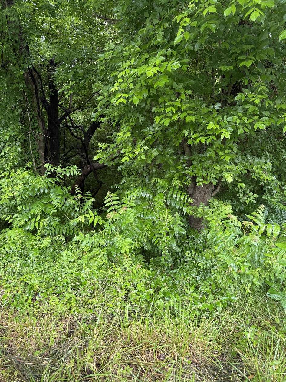2 Acres of Mixed-Use Land for Sale in Hardy, Virginia