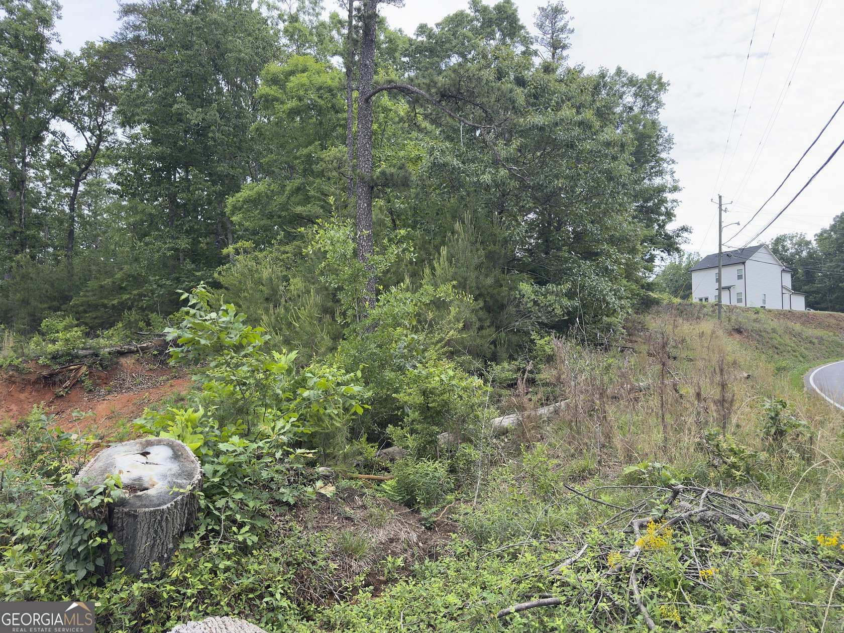 0.46 Acres of Land for Sale in Gainesville, Georgia