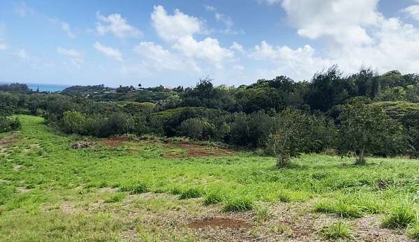 10.1 Acres of Land for Sale in Kapaa, Hawaii