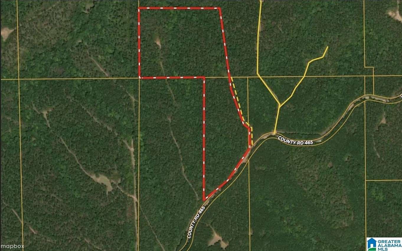 30 Acres of Recreational & Residential Land for Sale in Clanton, Alabama