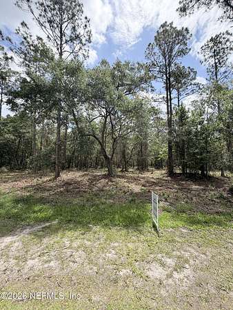 2.9 Acres of Residential Land for Sale in Palatka, Florida