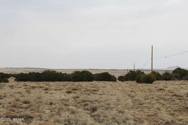 2 Acres of Residential Land for Sale in Concho, Arizona