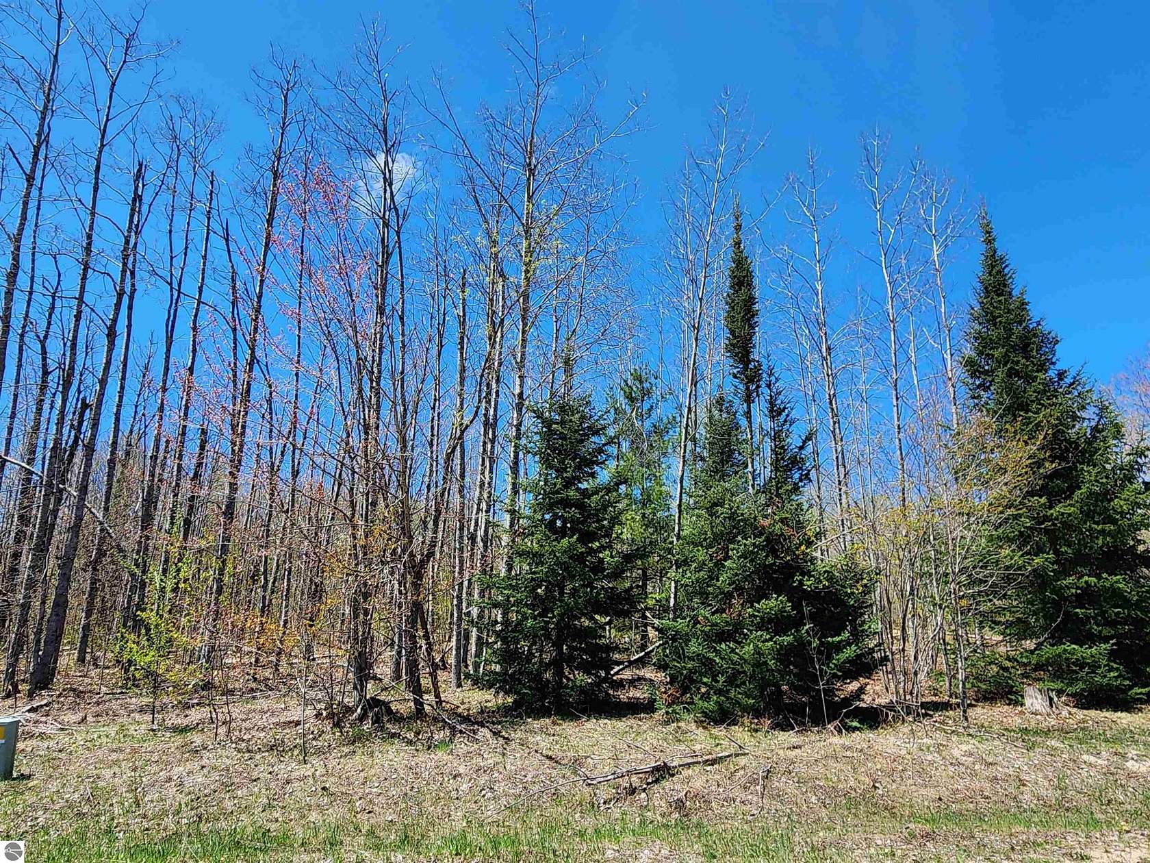 0.92 Acres of Land for Sale in Mancelona, Michigan