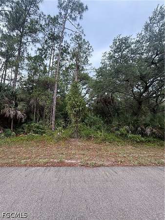 0.5 Acres of Residential Land for Sale in Lehigh Acres, Florida