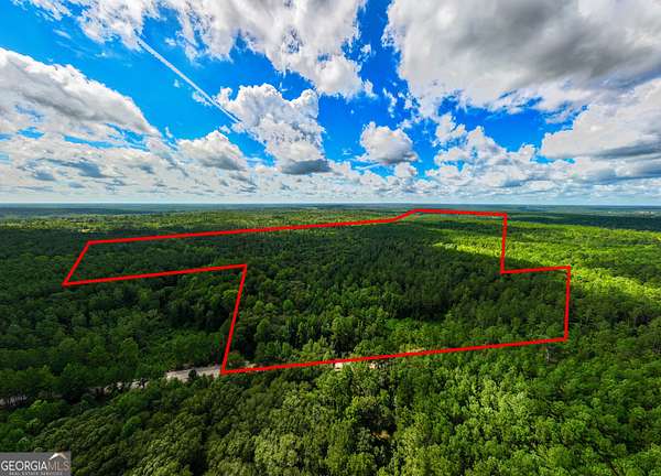 39.9 Acres of Land for Sale in Gibson, Georgia