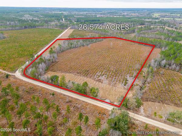 26.6 Acres of Agricultural Land for Sale in Brooklet, Georgia