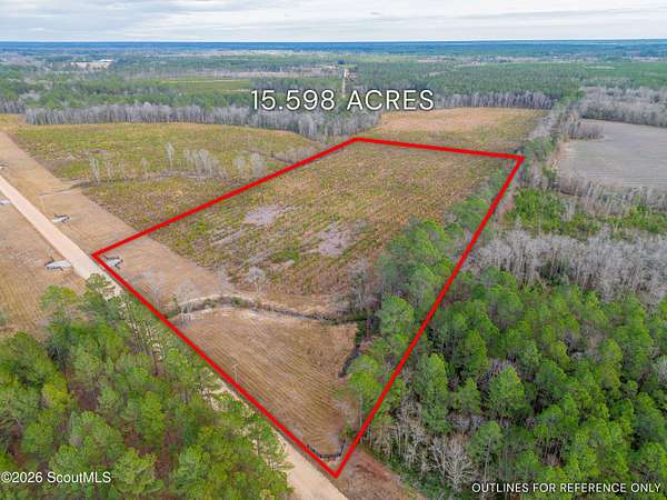15.6 Acres of Agricultural Land for Sale in Brooklet, Georgia