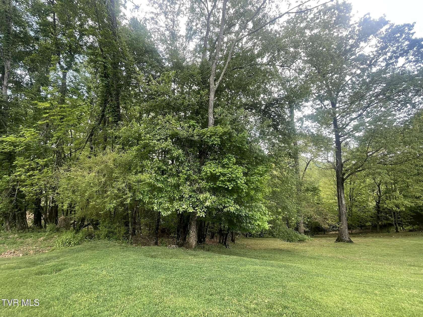 0.49 Acres of Residential Land for Sale in Gate City, Virginia