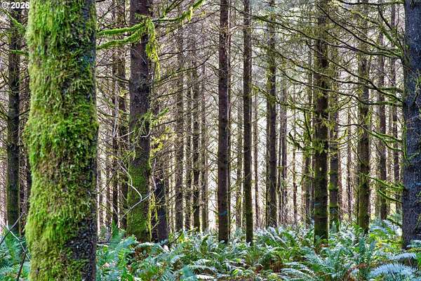 167 Acres of Recreational Land for Sale in Coquille, Oregon