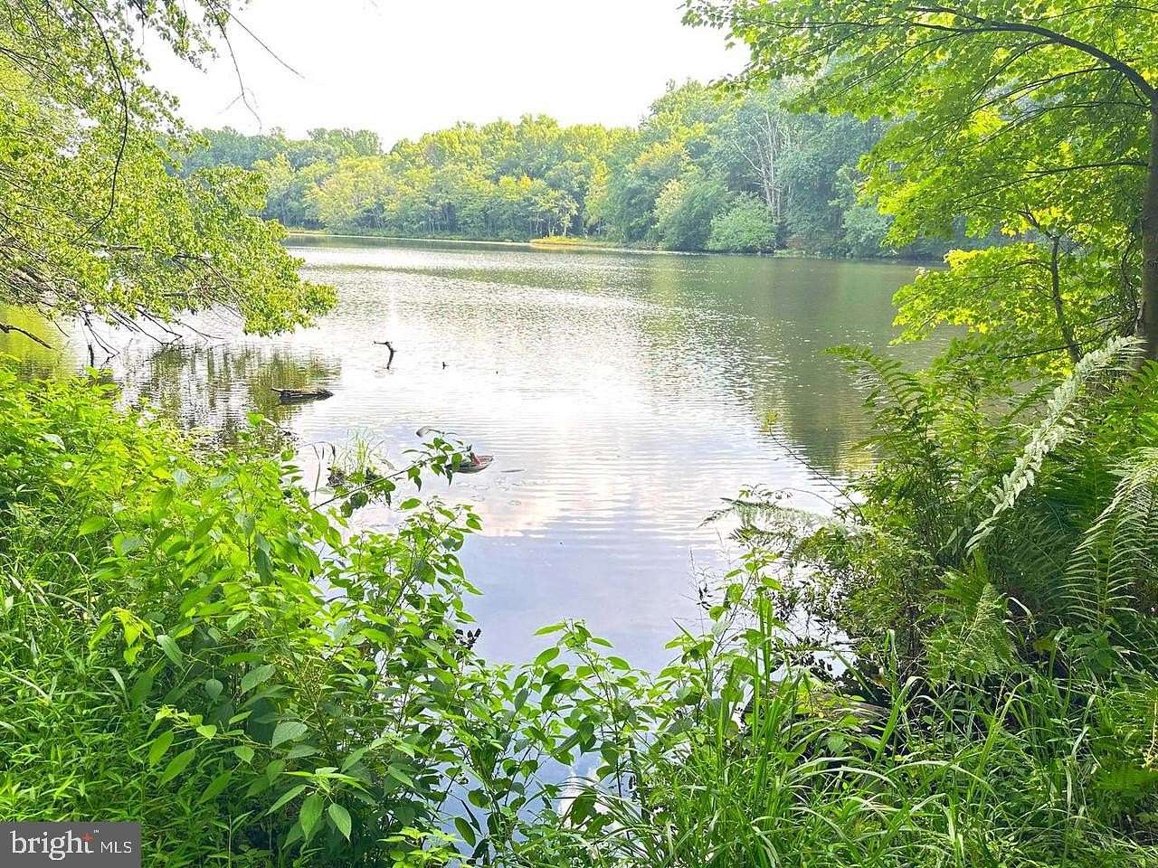 20 Acres of Land for Sale in Mullica Hill, New Jersey