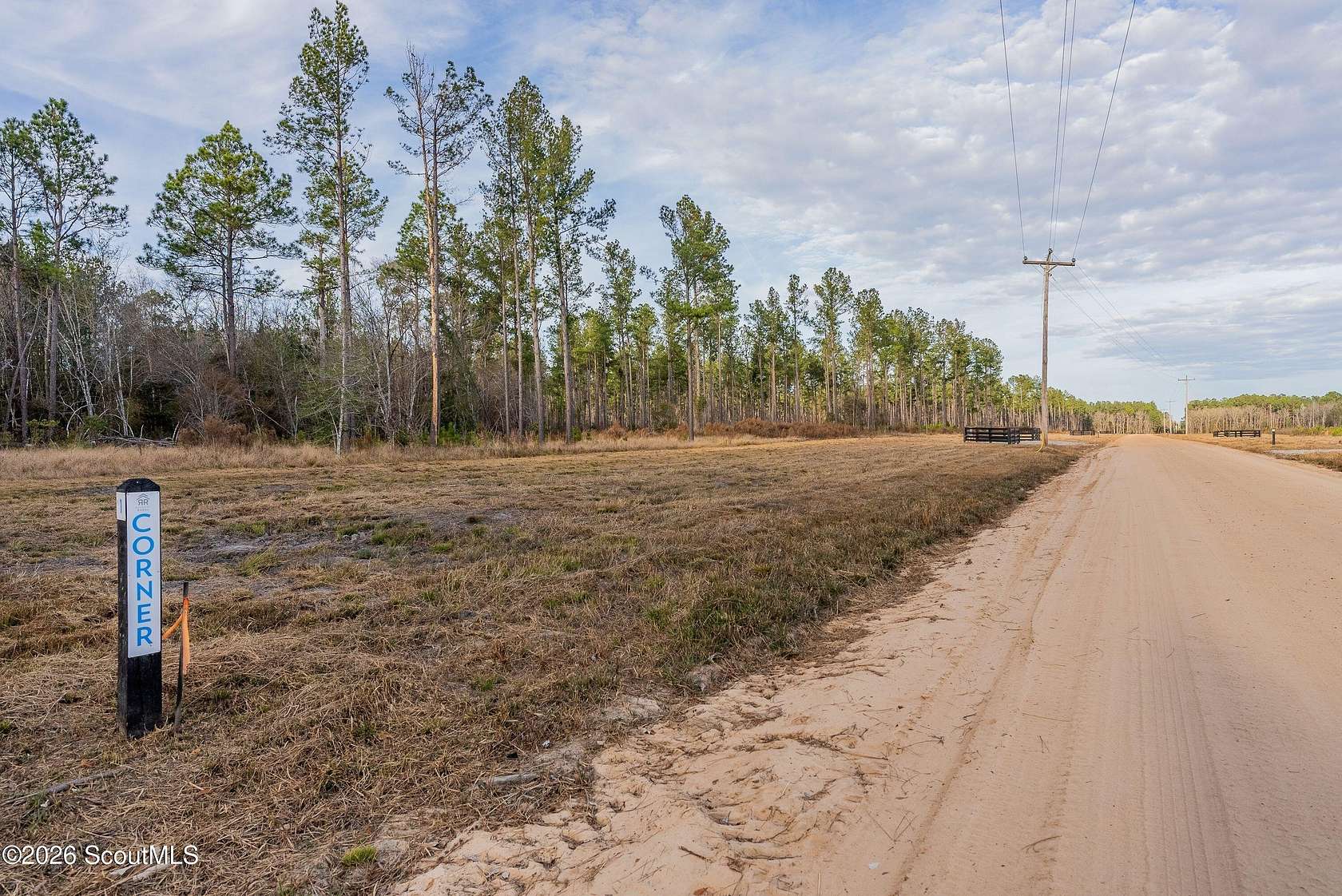 7.22 Acres of Agricultural Land for Sale in Brooklet, Georgia