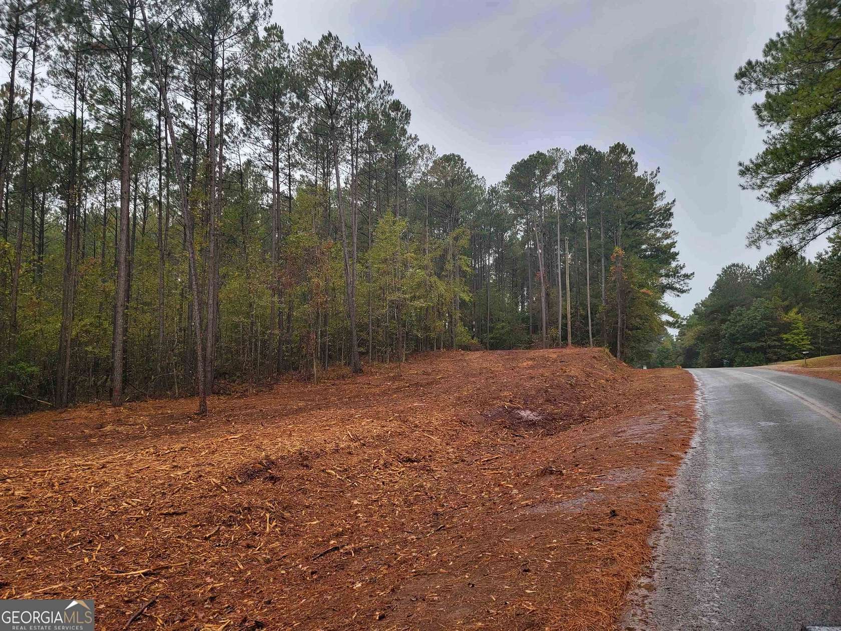 14 Acres of Land for Sale in Flovilla, Georgia