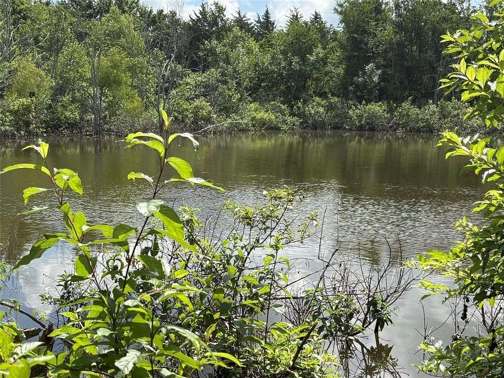 99.6 Acres of Recreational & Residential Land for Sale in Clarksville, Texas