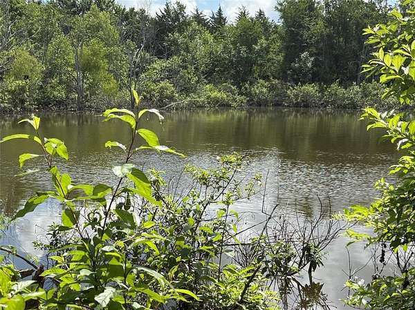 99.6 Acres of Recreational & Residential Land for Sale in Clarksville, Texas