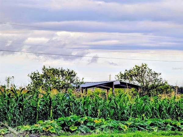 10 Acres of Agricultural Land for Sale in Zolfo Springs, Florida