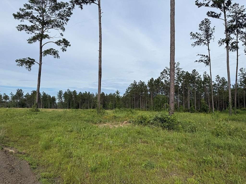 10.1 Acres of Land for Sale in Huntington, Texas