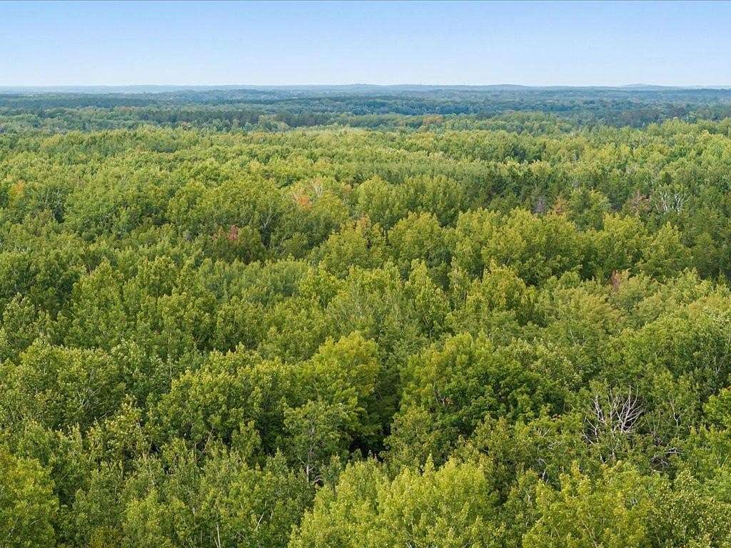 11.3 Acres of Land for Sale in Mission Township, Minnesota