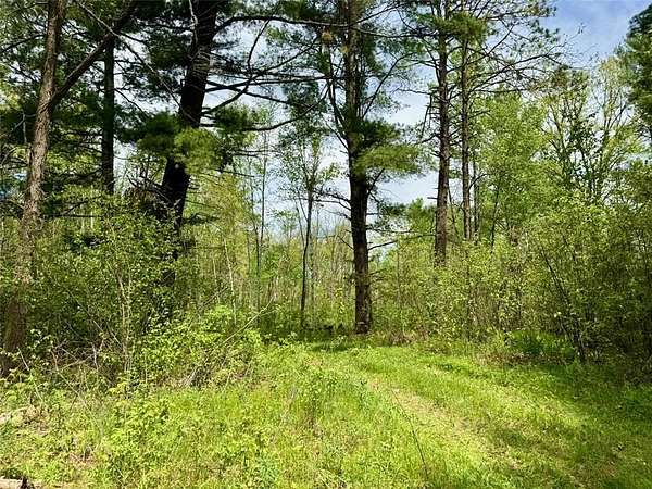 75 Acres of Recreational Land for Sale in Rutledge, Minnesota