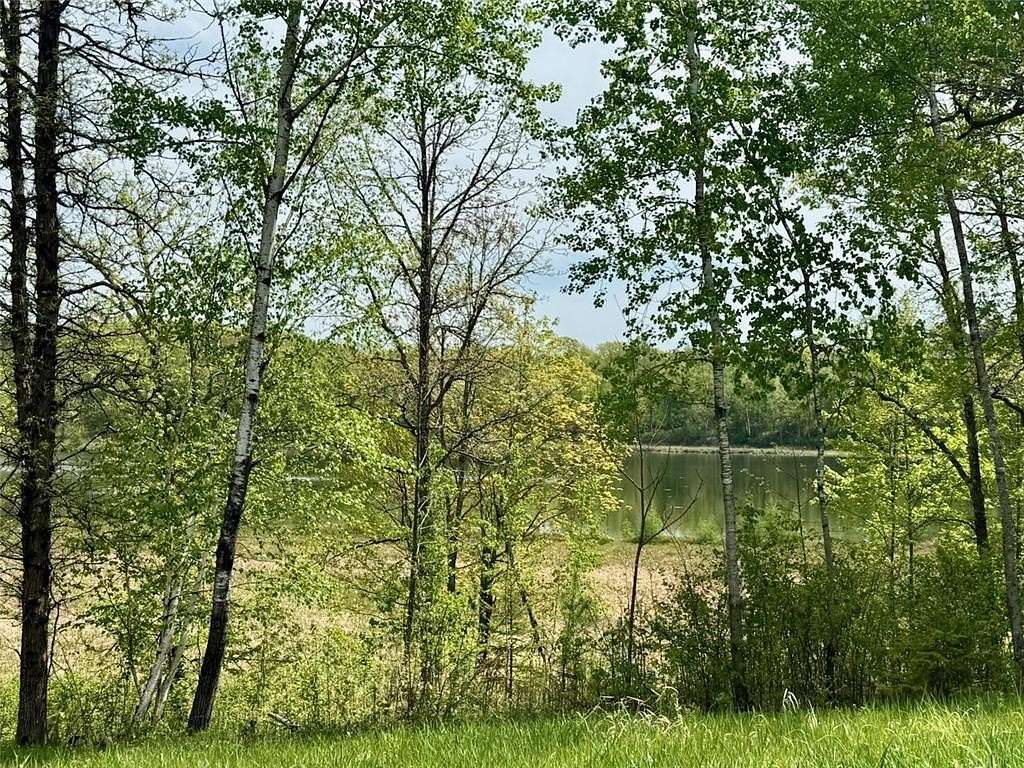 80 Acres of Recreational Land for Sale in Rutledge, Minnesota