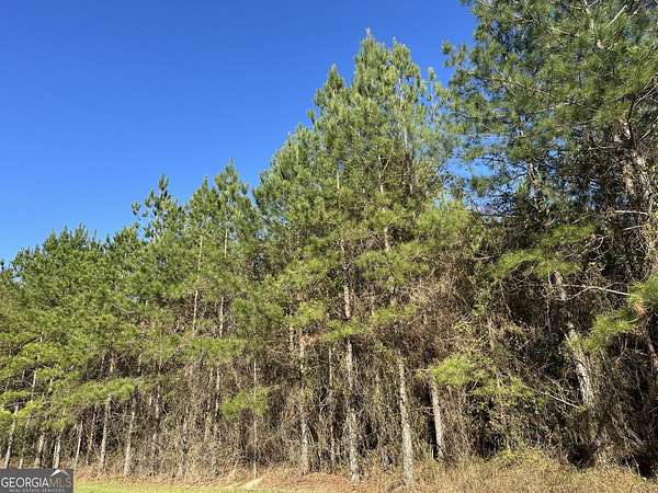 20 Acres of Recreational & Residential Land for Sale in Gordon, Alabama