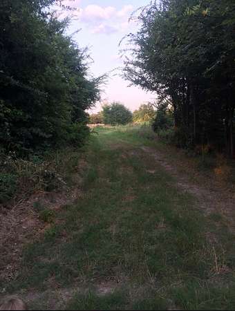10.6 Acres of Land for Sale in Tool, Texas