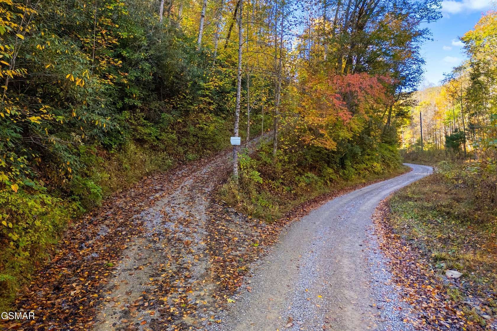 5.37 Acres of Land for Sale in Del Rio, Tennessee