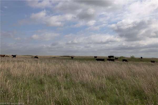 80 Acres of Land for Sale in Morrison, Oklahoma