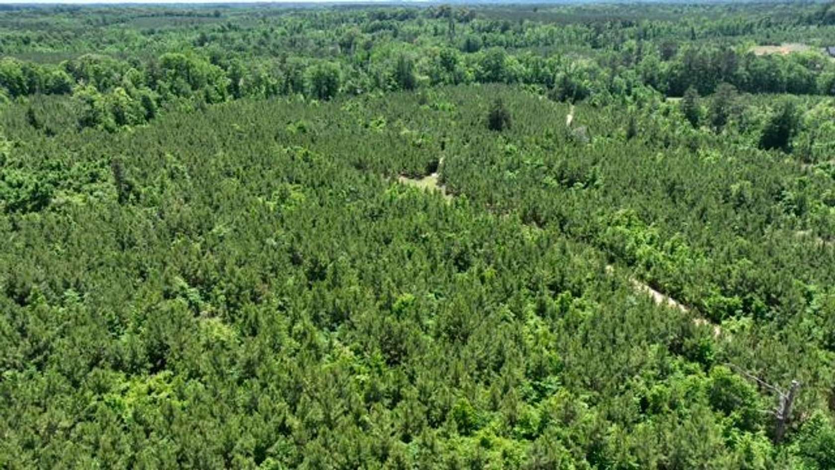 47 Acres of Recreational Land for Sale in Choudrant, Louisiana