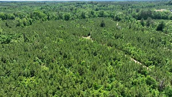 47 Acres of Recreational Land for Sale in Choudrant, Louisiana