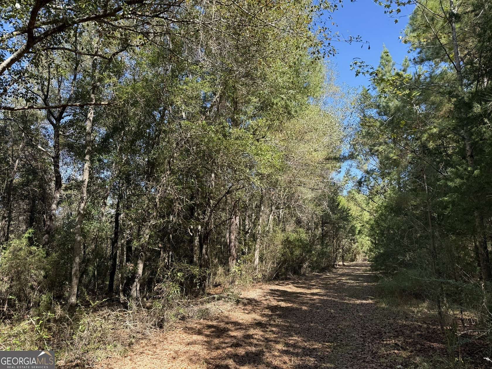 6 Acres of Residential Land for Sale in Ashford, Alabama