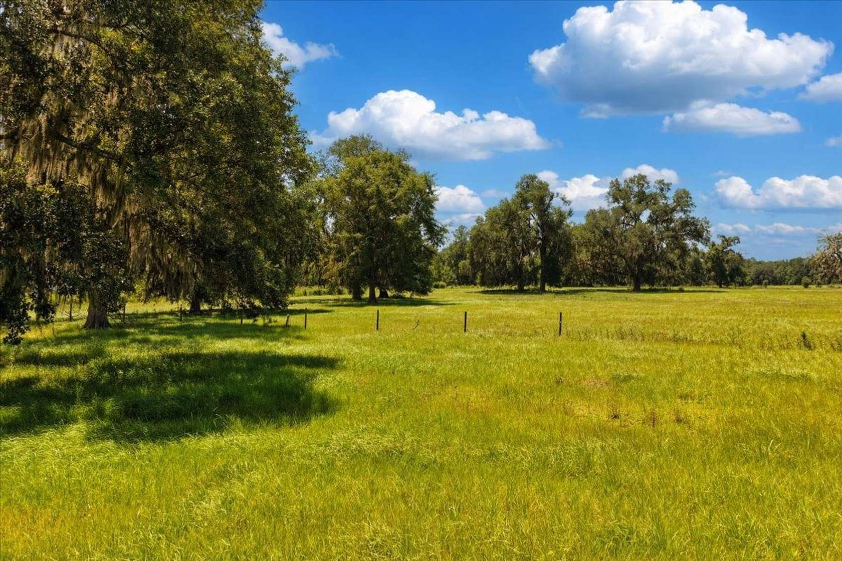 192 Acres of Land for Sale in Monticello, Florida