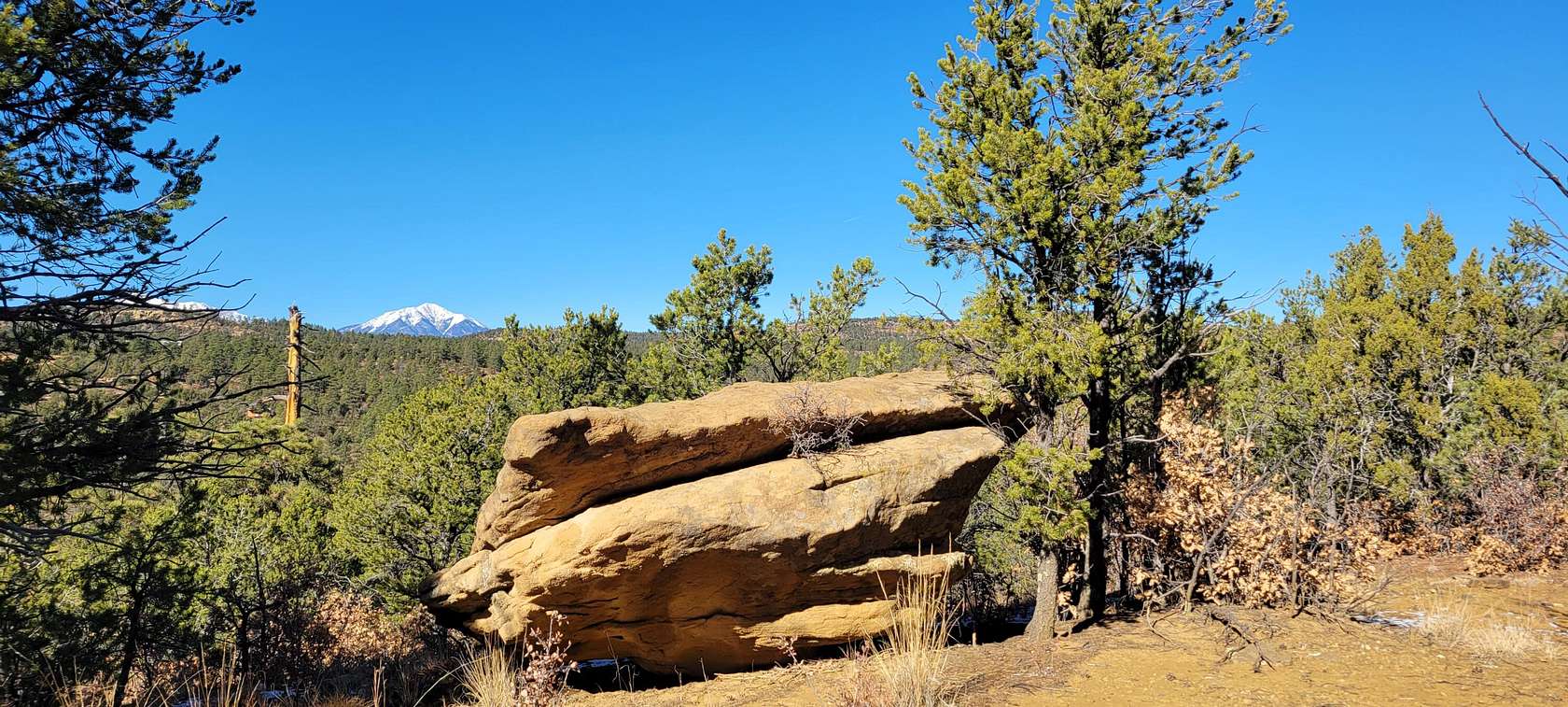 5 Acres of Land for Sale in Boncarbo, Colorado