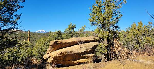 5 Acres of Land for Sale in Boncarbo, Colorado