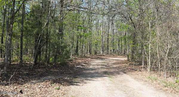 40 Acres of Recreational Land for Sale in Anderson, Missouri