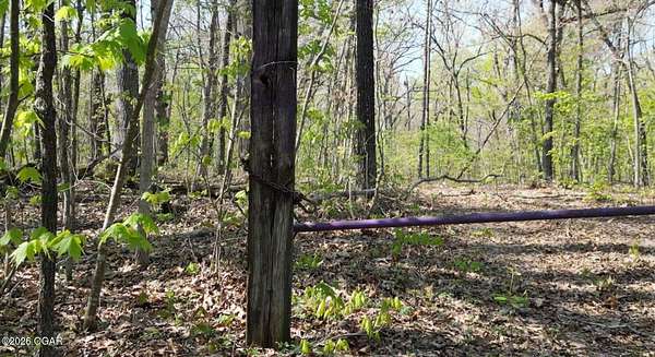 19 Acres of Land for Sale in Anderson, Missouri