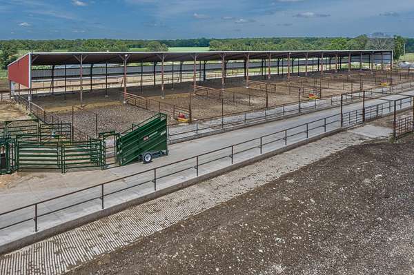 80 Acres of Agricultural Land for Sale in Fordland, Missouri