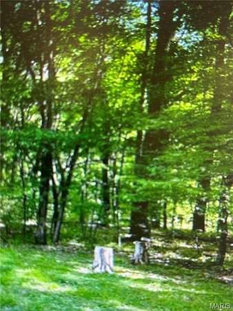 11.7 Acres of Land for Sale in Cedar Hill, Missouri