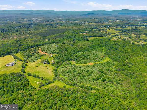 76.6 Acres of Recreational & Residential Land for Sale in Rixeyville, Virginia