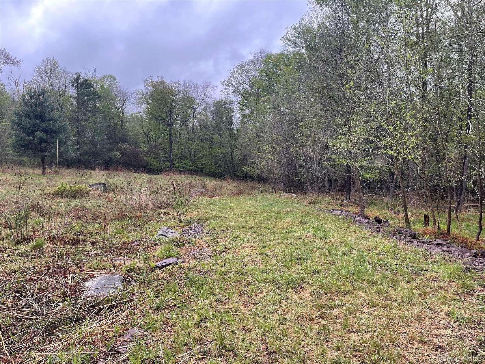 6 Acres of Residential Land for Sale in Woodridge, New York