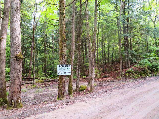 8.9 Acres of Land for Sale in Bleecker, New York
