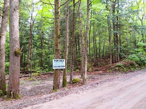 8.9 Acres of Land for Sale in Bleecker, New York