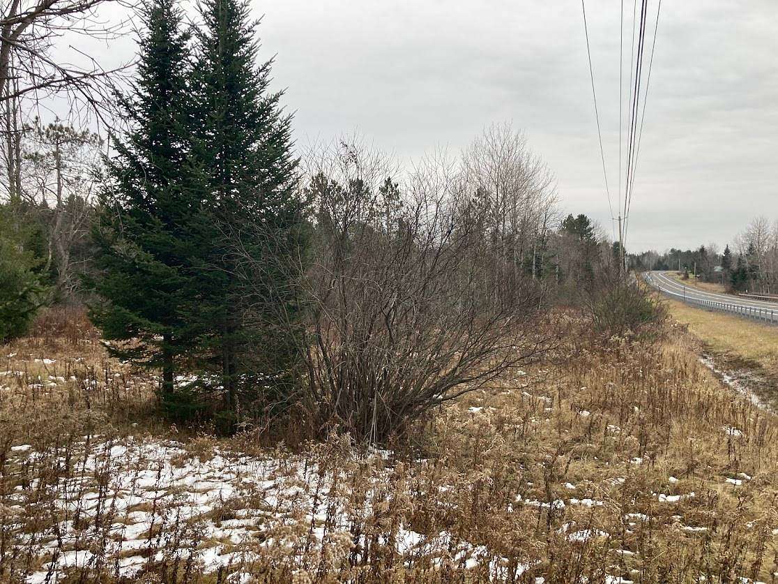139 Acres of Recreational & Residential Land for Sale in Cold Brook, New York