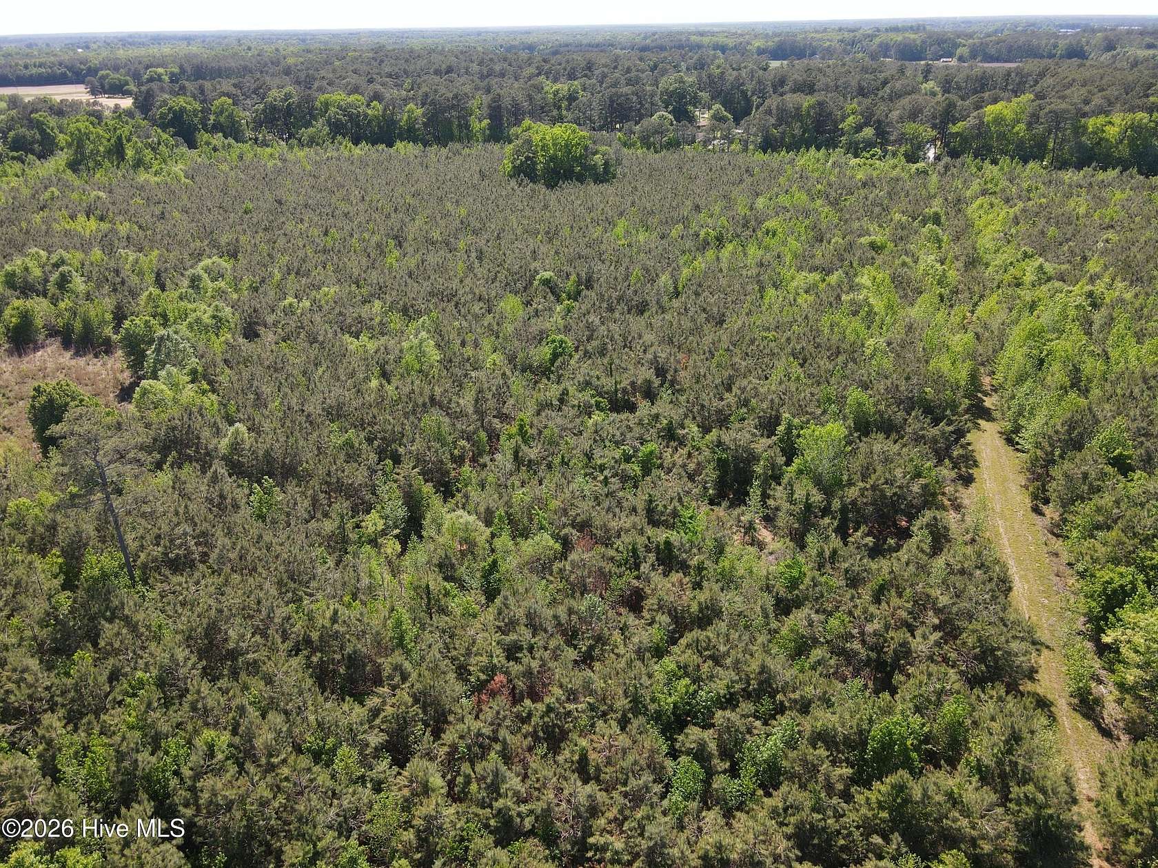 134 Acres of Land for Sale in Ahoskie, North Carolina