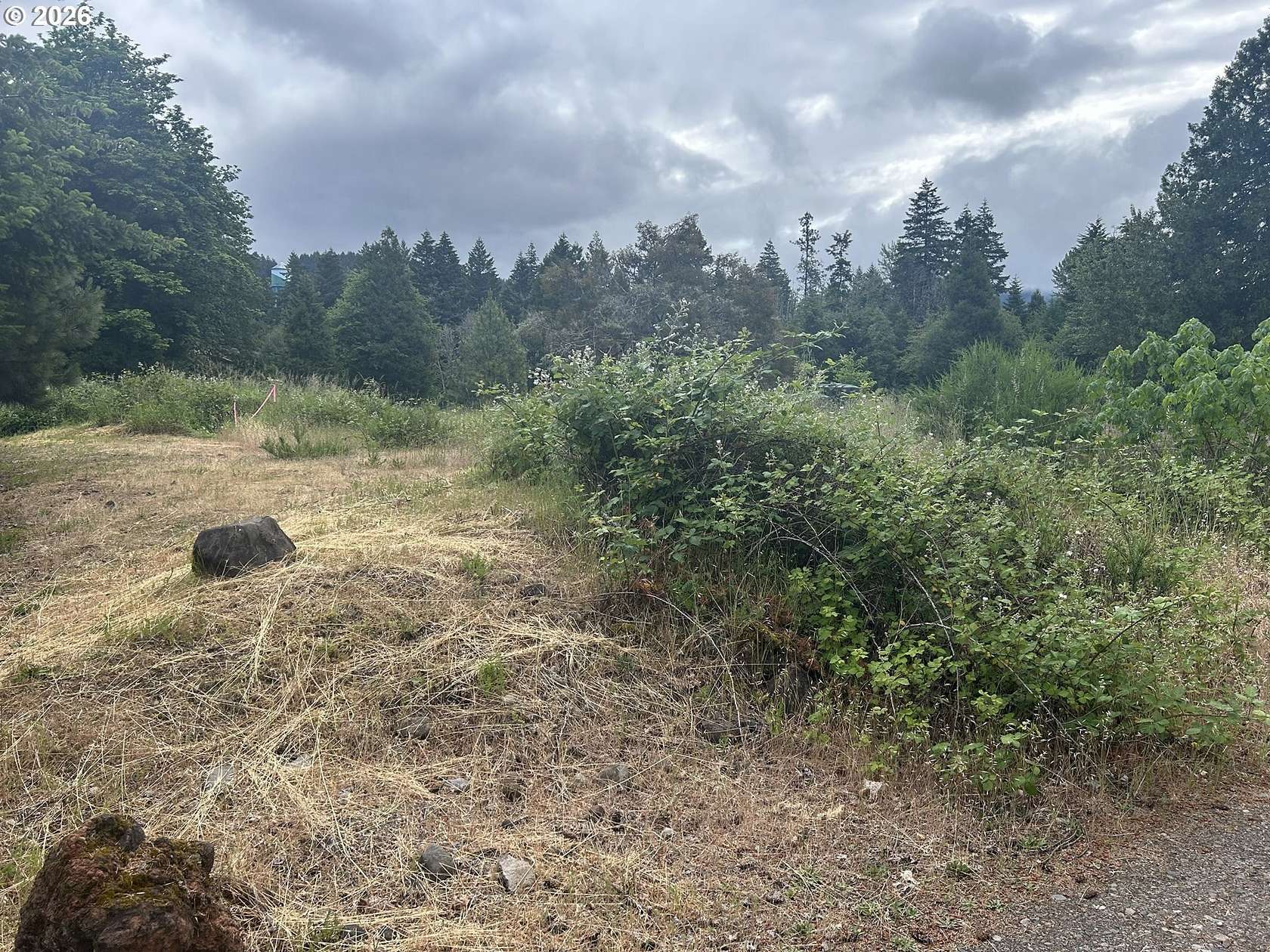 0.09 Acres of Residential Land for Sale in Oakridge, Oregon