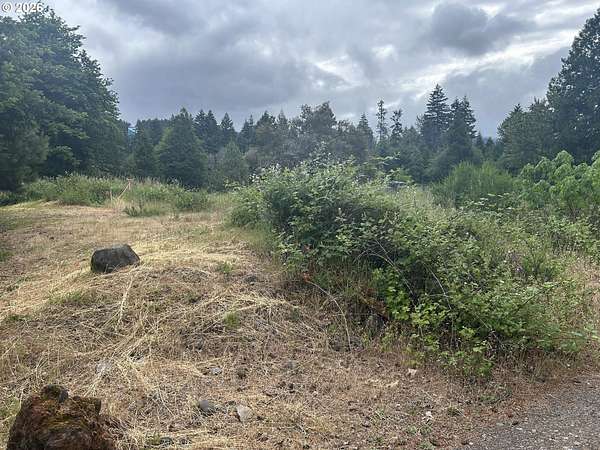 0.09 Acres of Residential Land for Sale in Oakridge, Oregon